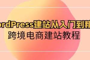 (10313期)WordPress建站从入门到精通,跨境电商建站教程