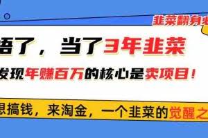 （10759期）悟了，当了3年韭菜，才发现网赚圈年赚100万的核心是卖项目，含泪分享！