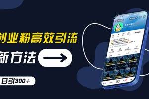(11890期)创业粉高效引流,抖音工具号玩法,日引300+,不要成为学习高手,要成为…
