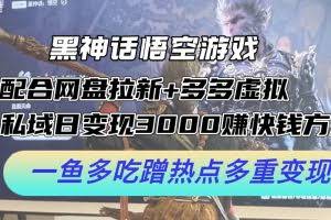 （12316期）黑神话悟空游戏配合网盘拉新+多多虚拟+私域日变现3000+赚快钱方法。…