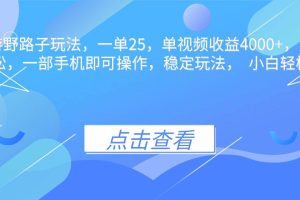 （16446期）抖音手游野路子玩法，一单25，单视频收益4000+，日入几千轻轻松松，一…