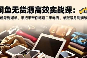 （16875期）闲鱼无货源高效实战课：从起号到爆单，手把手带你吃透二手电商，单账号月利润破万