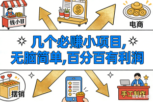 （16964期）9个必赚小项目，无脑简单，百分百有利润，副业首选，日入200+