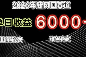 （17135期）2026年新风口赛道，当日6000+以上，可批量放大，月收入20万+，长期绿色稳定的项目