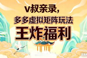 （17733期）v叔亲录，多多虚拟矩阵玩法，王炸福利限时领取