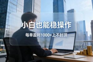 （17508期）2026新项目，小白也能稳操作，每单盈利1000+上不封顶