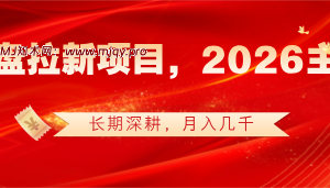 网盘拉新项目，长期可做，月入几千